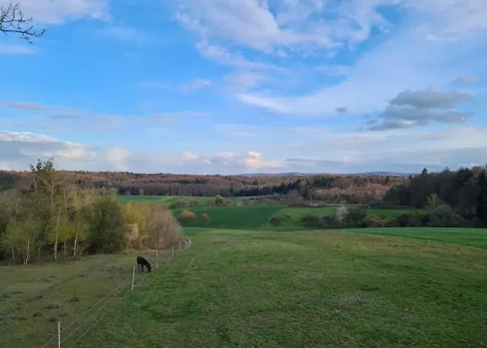 Apartament Casa Linda, Luxurioese Im Gruenen